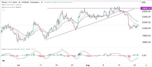 BTC/USD Signal