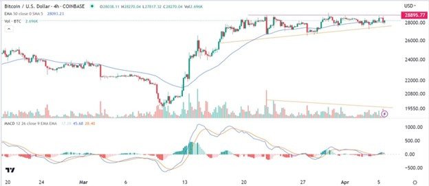 Bitcoin signal chart