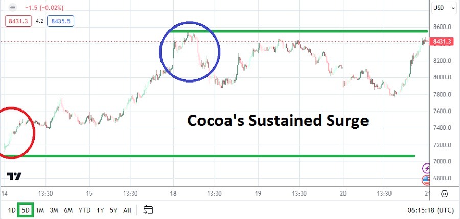 Cocoa Analysis Today- 21/03: High Cocoa Prices Ahead (Graph)