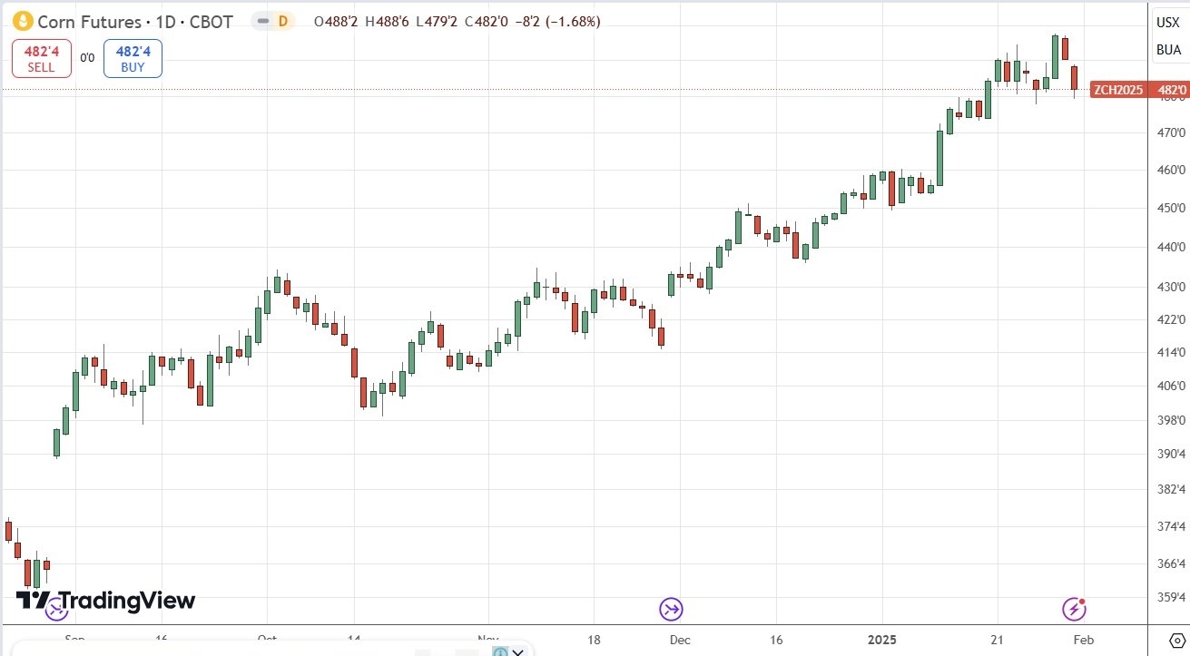 Corn Futures 020225