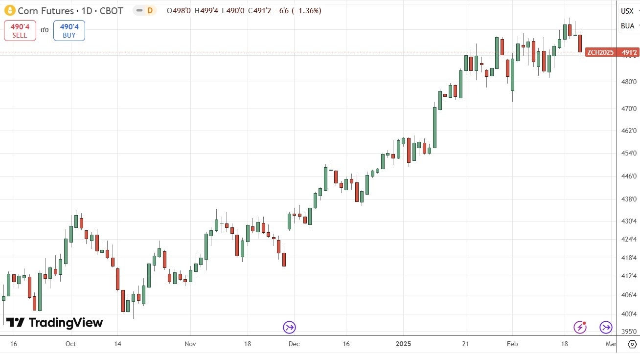 Corn Futures Daily Price Chart