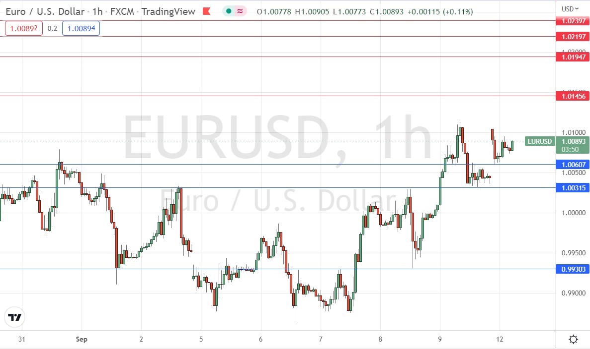 Daily chart of the euro  once morest the US dollar