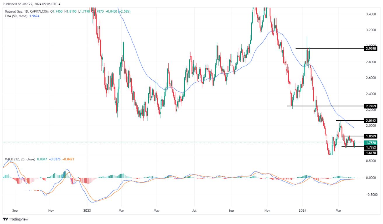 سعر الغاز الطبيعي على الإطار الزمني اليومي