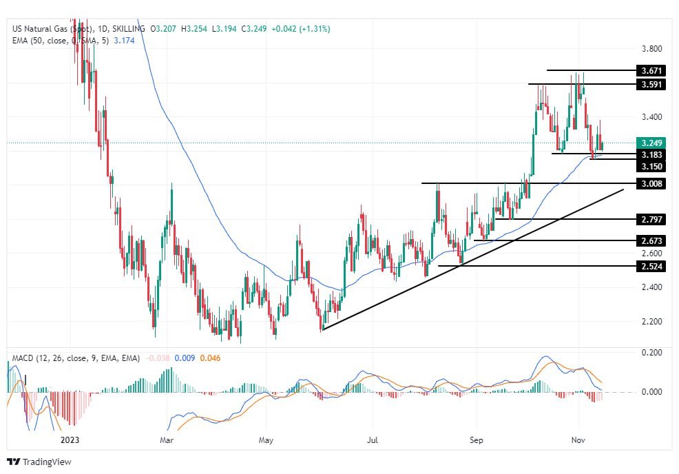 سعر الغاز الطبيعي على الإطار الزمني اليومي