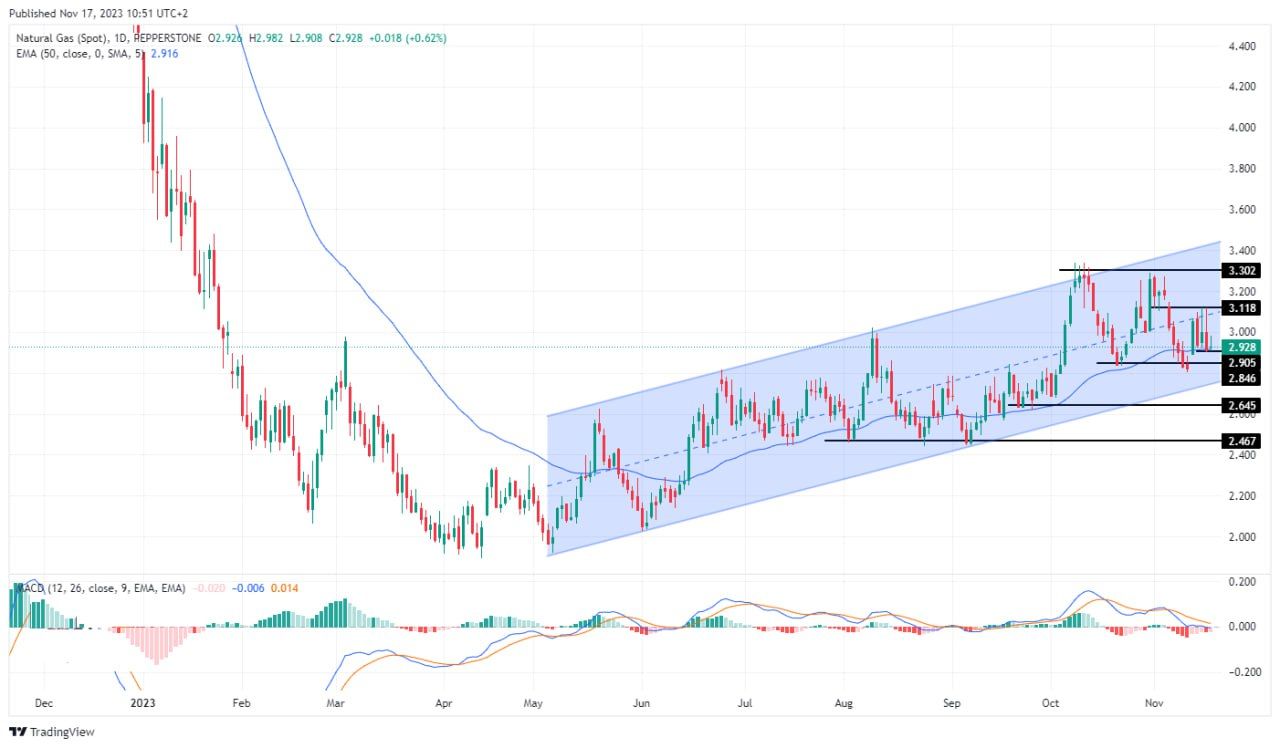 سعر الغاز الطبيعي على الإطار الزمني اليومي