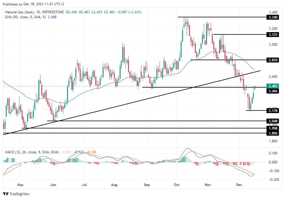 سعر الغاز الطبيعي على الإطار الزمني اليومي