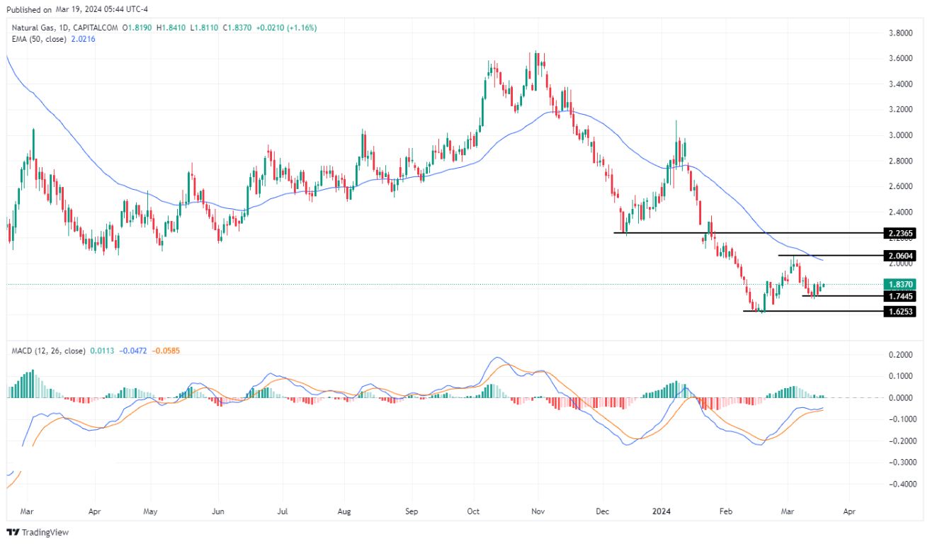 سعر الغاز الطبيعي على الإطار الزمني اليومي