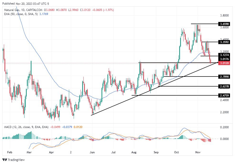 سعر الغاز الطبيعي على الإطار الزمني اليومي