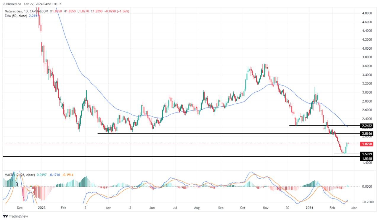 سعر الغاز الطبيعي على الإطار الزمني اليومي