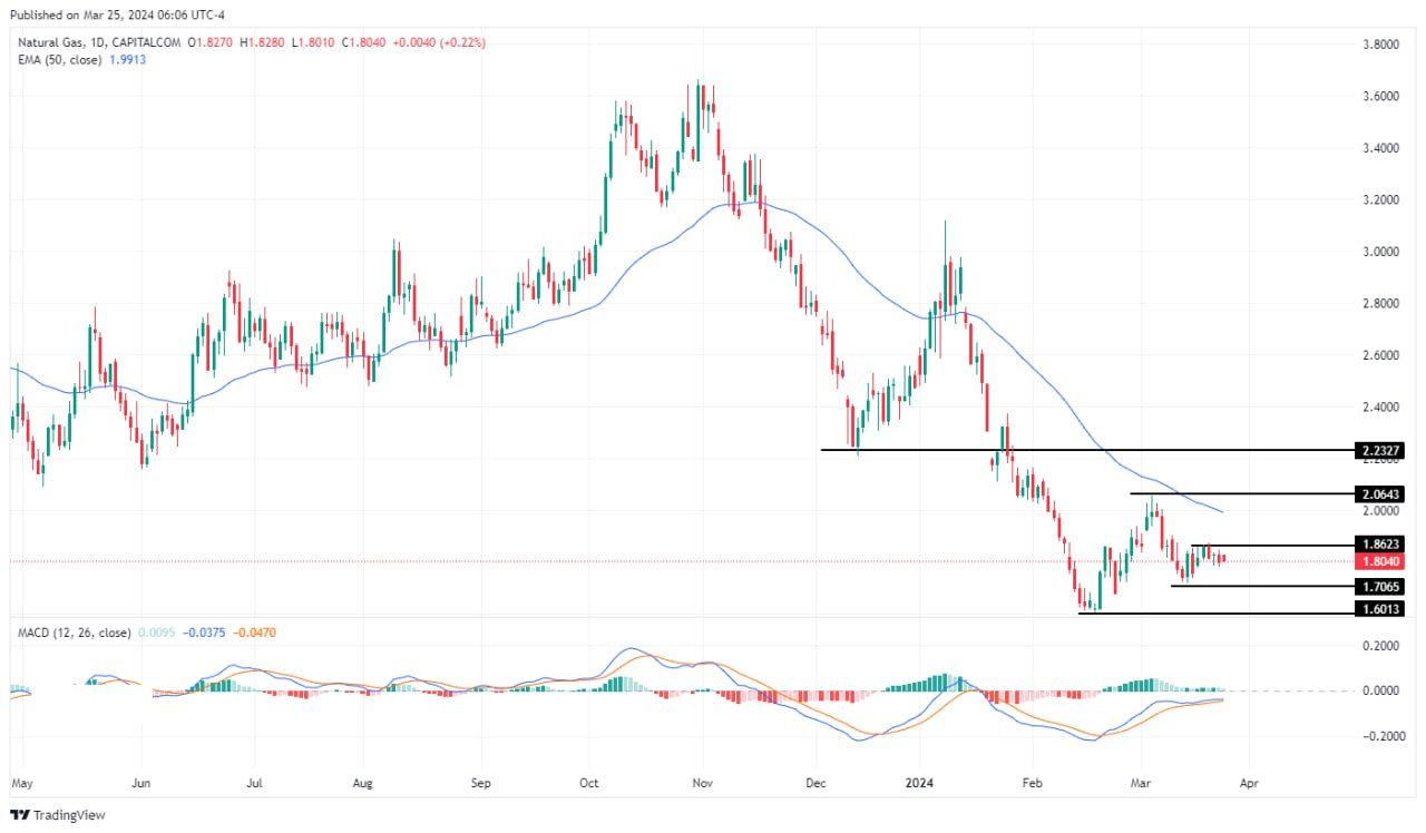 سعر الغاز الطبيعي على الإطار الزمني اليومي