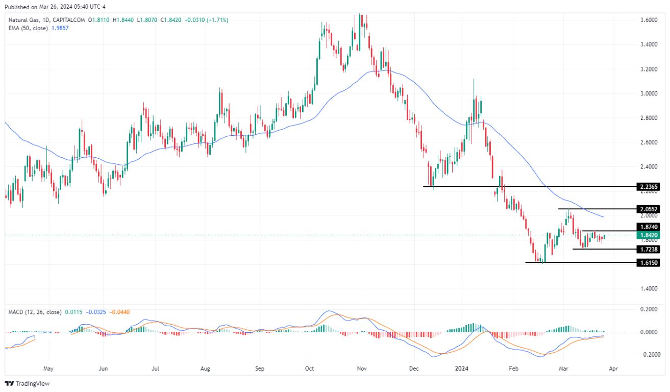 سعر الغاز الطبيعي على الإطار الزمني اليومي