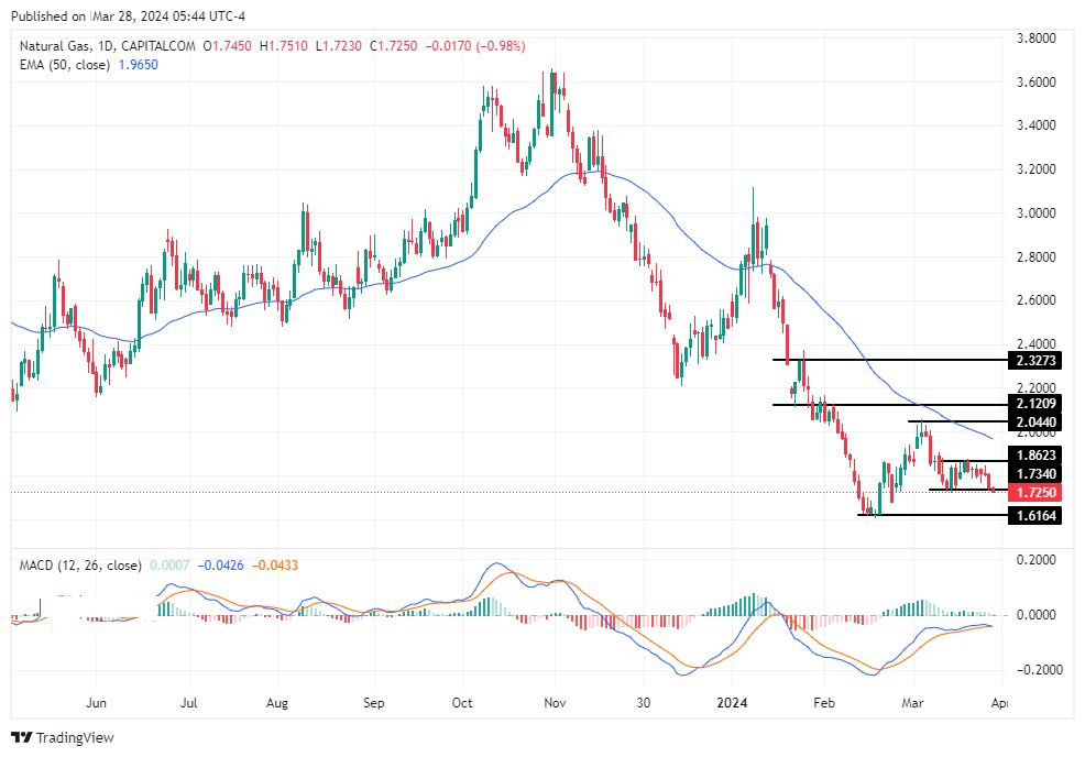 سعر الغاز الطبيعي على الإطار الزمني اليومي