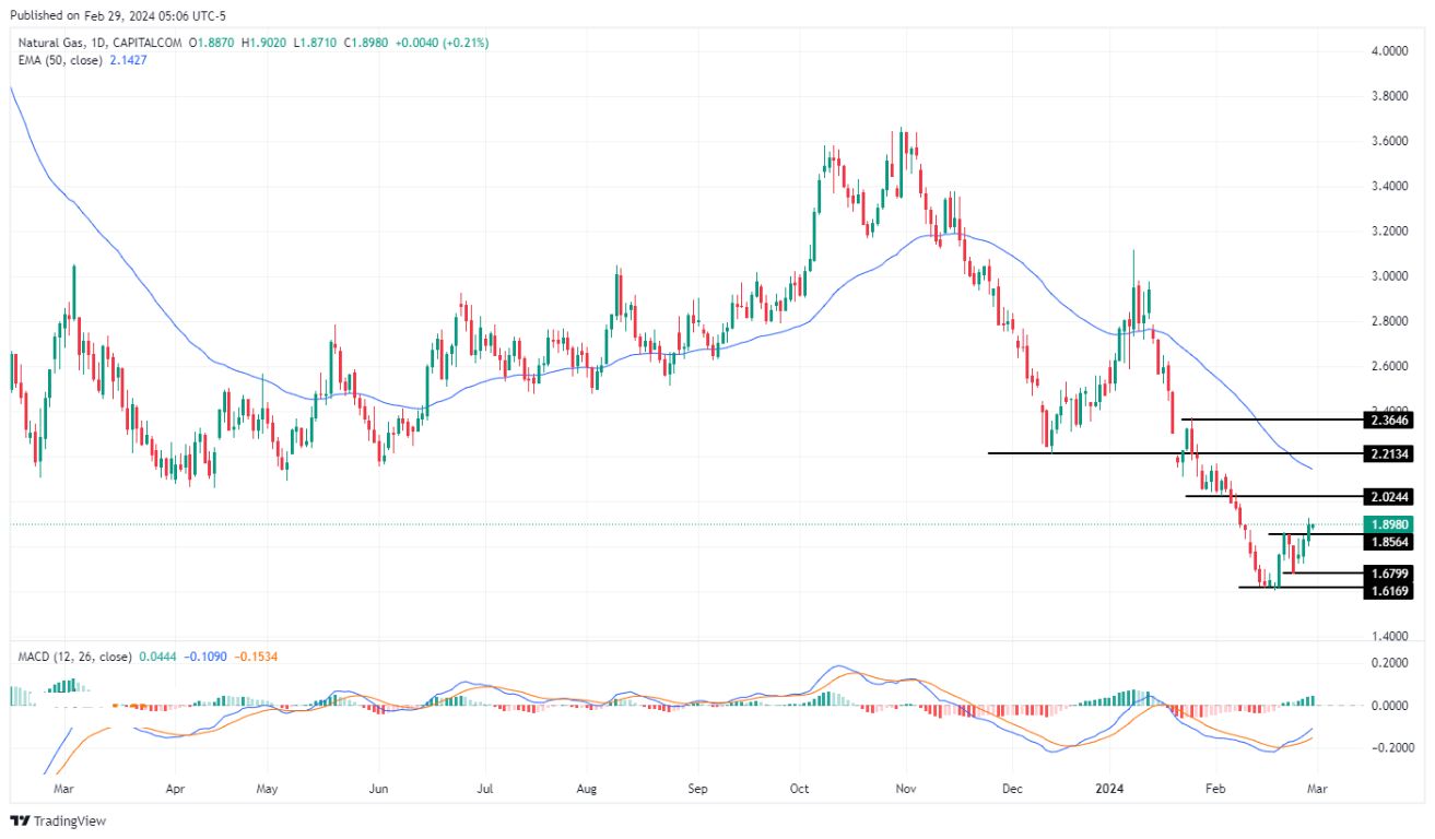 سعر الغاز الطبيعي على الإطار الزمني اليومي