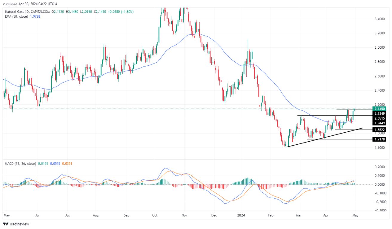 سعر الغاز الطبيعي على الإطار الزمني اليومي