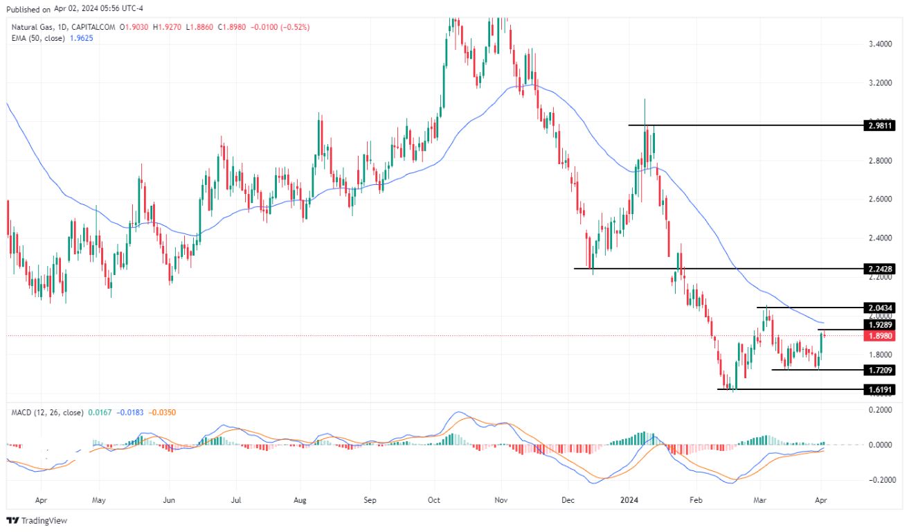 سعر الغاز الطبيعي على الإطار الزمني اليومي