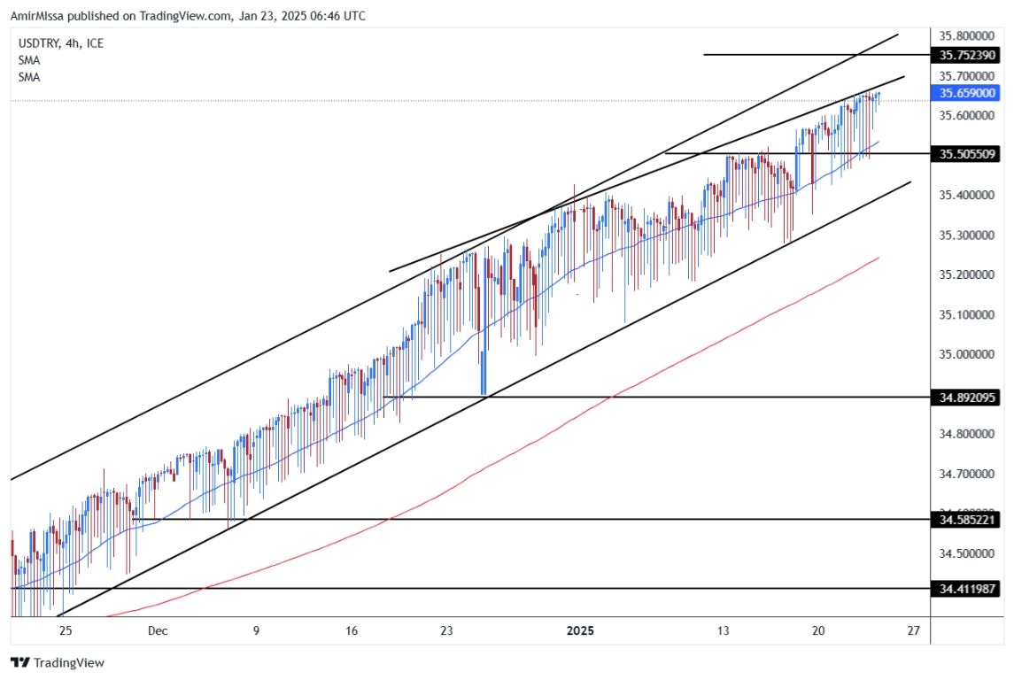 USD/TRY Forecast Today - 23/01:  Euro Rallies in Thin Liquid