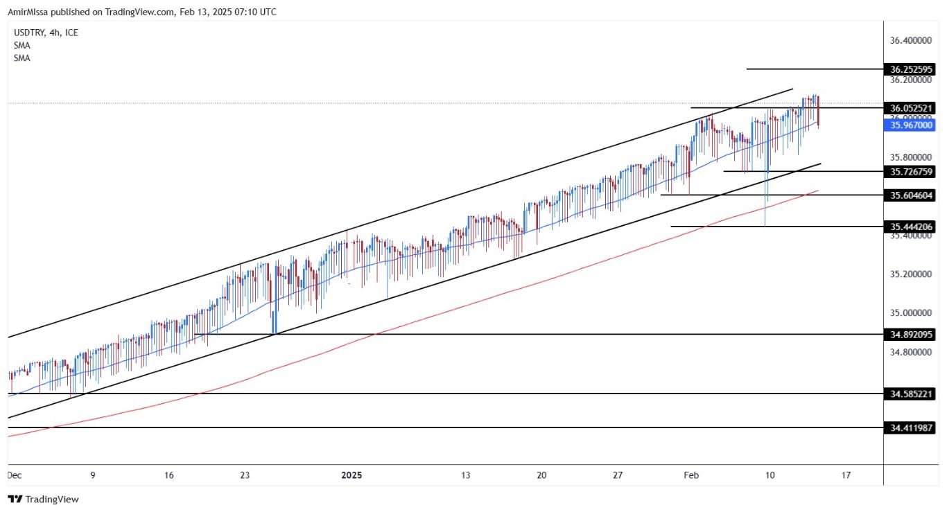 USD/TRY Forecast Today 13/02: Lira Weakens Further (Chart)