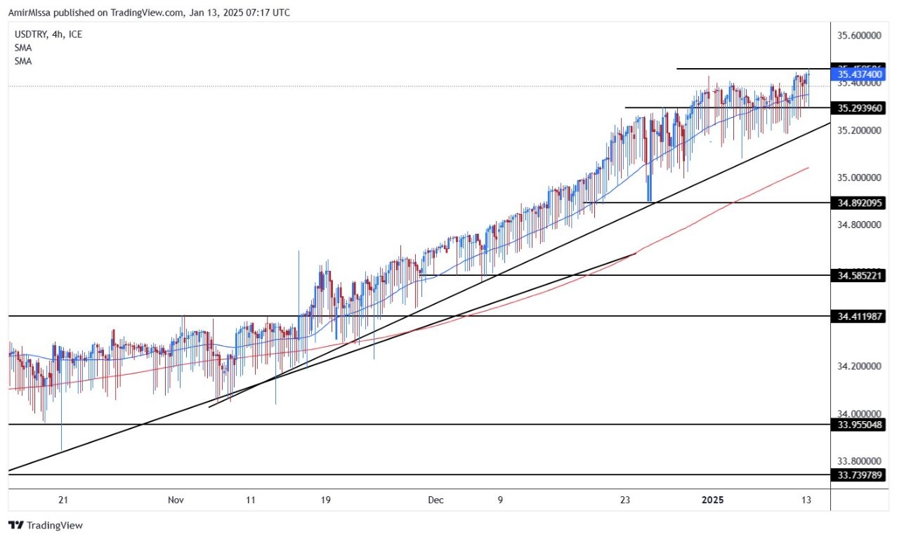 USD/TRY Forecast Today 13/01: Rises on Weakness (graph)