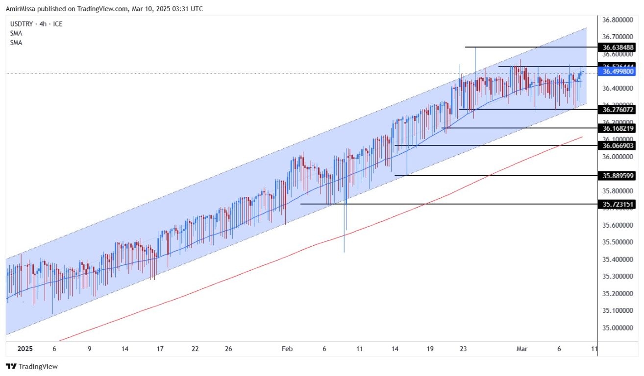 Steady After Rate Cut (Chart)