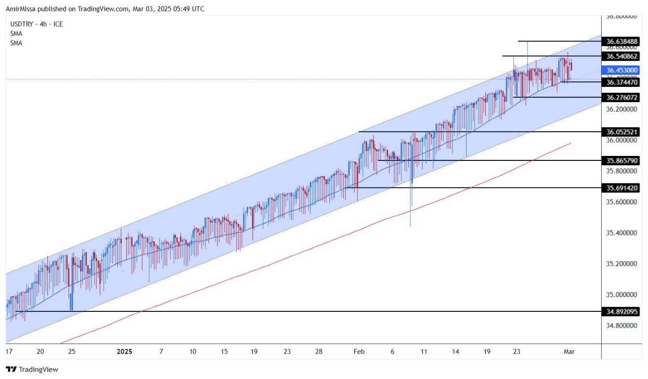 USD/TRY Forecast Today 03/03: Economic Growth Data (Chart)