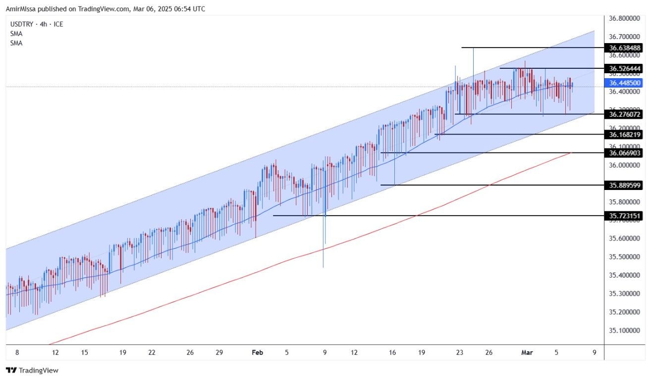 USD/TRY Forecast Today 06/03: Lira Holds Steady (Chart)