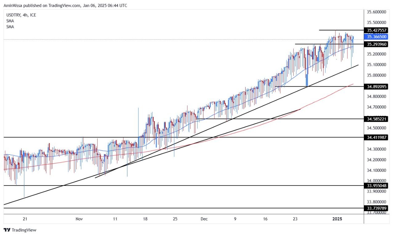 USD/TRY Forecast 06/01: Lira Stabilizes on Support (Chart)