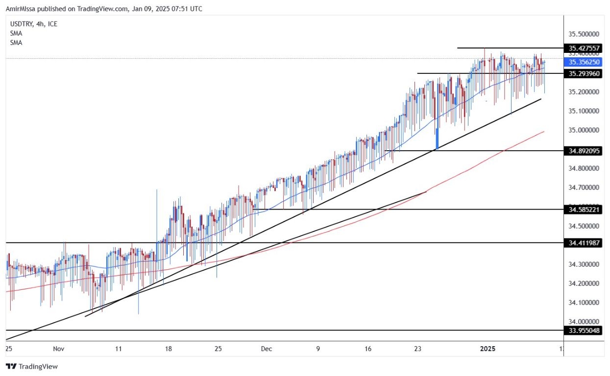 USD/TRY Forecast for today 01/09: Lira grows in 2024 (Chart)