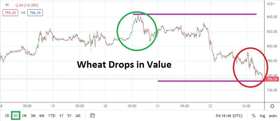 Wheat Weekly Chart